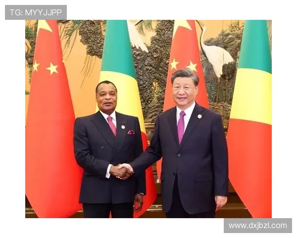 刚果足协主席涉嫌挪用资金潜逃